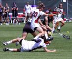 The Ladies don't fear contact pursuing the Ball in Lacrosse