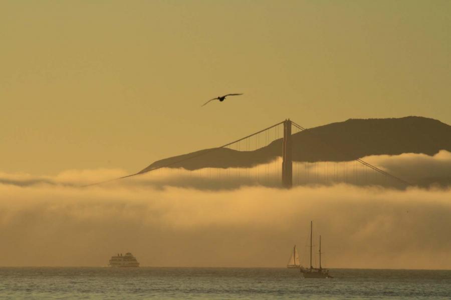 Fog Hovers Over the Golden Gate