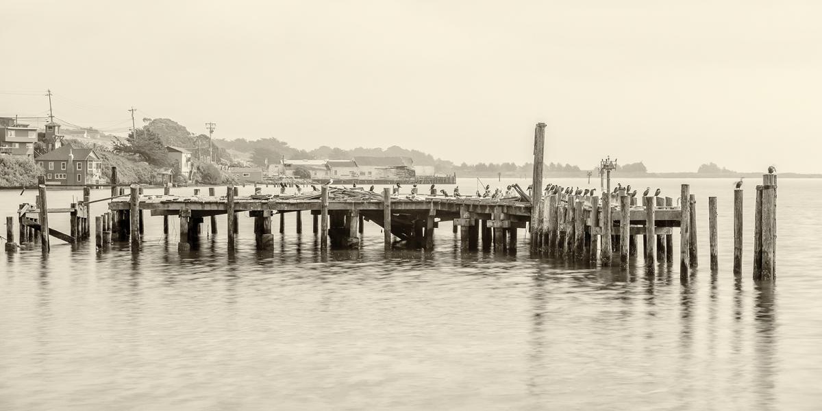 Old Pier in Bodega Bay, CA