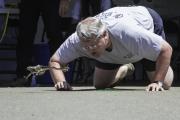 At the Calaveras Frog Jumping Competition, man assumes a frog pose while encouraging his frog to jump.
