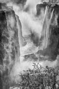 The Wonder of Victoria Falls