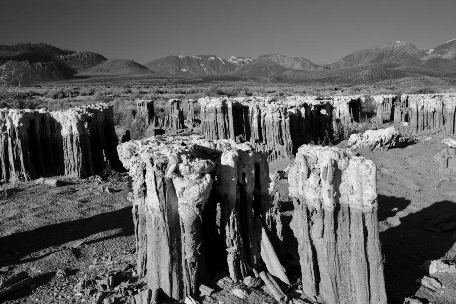 Mono Moonscape in the Morning
