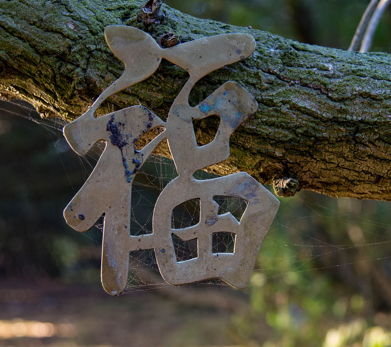 Brass decoration found on a trail at Lake Merced