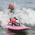 Trainer launches his competitor in the 2017 World Dog Surfing competition, Pacifica