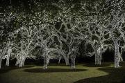 Holiday Lights, Johnson City, Texas