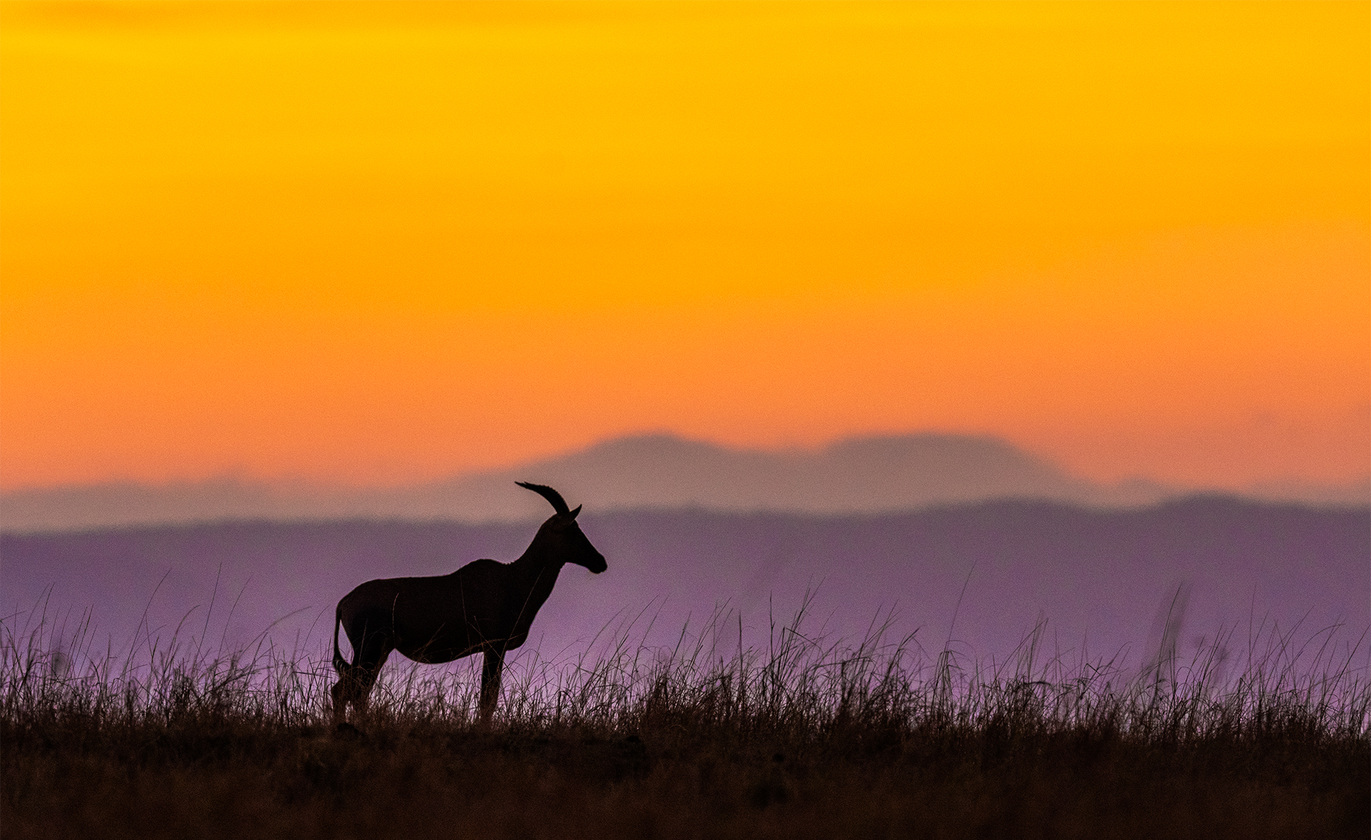 Colors of the Masai Mara Sunrise