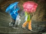 Pedestrians and Umbrellas on a Rainy Day.