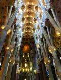 Inspiration from Nature. Pillars in the shape of tree trunks are used to build Sagrada Familia, Spain.