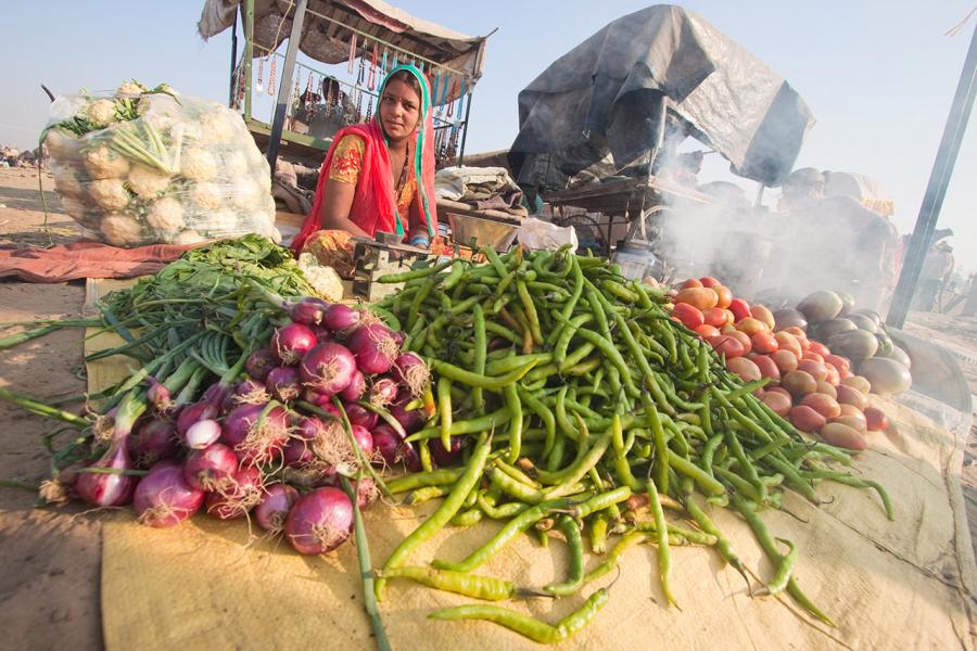 Vegetable Vendor at the Camel Fair, Pushkar, India