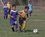 AYSO Millbrae Boys' Soccer U10, Taylor Middle School, Millbrae, California