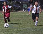 AYSO Millbrae Girls' Soccer U8, Taylor Middle School, Millbrae, California