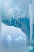 Icebergs and fog, Antarctica
