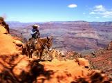 Grand Canyon Mule Wrangler