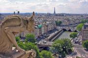A Gargoyle view of Paris from Notre Dame