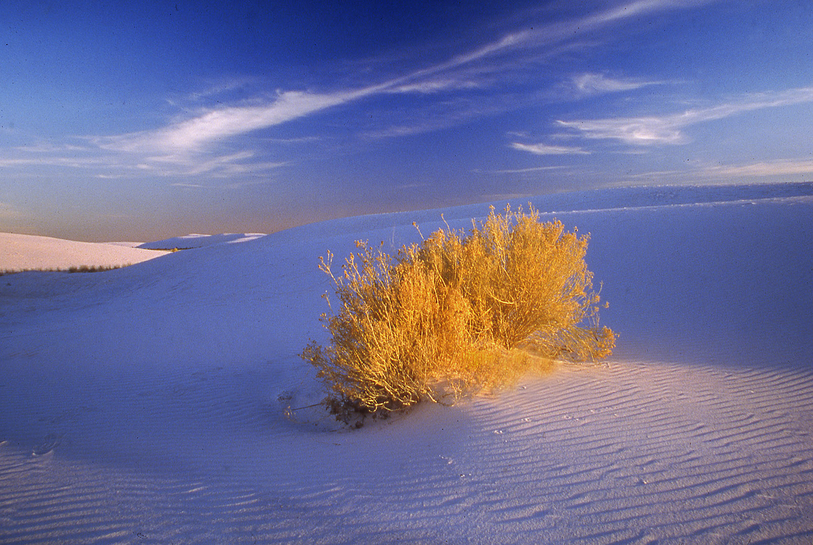 A Splash of Light at White Sands, New Mexico
