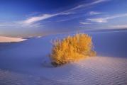 A Splash of Light at White Sands, New Mexico