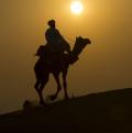 Into The Sunset Thar Desert