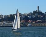 A day on SF Bay
